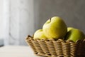 Yellow wet fresh apples in a wicker basket Royalty Free Stock Photo