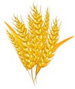 Yellow wheat cartoon