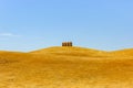Yellow wheat dunes with four silos Royalty Free Stock Photo