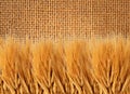 Yellow wheat over the linen texture Royalty Free Stock Photo