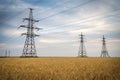 Yellow wheat and power lines Royalty Free Stock Photo