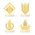 Yellow wheat rice logo abstract shape style vector design
