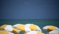 Yellow and White Beach Umbrellas in Miami Beach, Florida