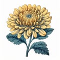 Gold Chrysanthemum Flower Illustration In Ravi Zupa Style