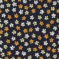 Yellow and White Ditsy Allover Hand-Drawn Daisies Blooms on Black Background Vector Seamless Pattern Royalty Free Stock Photo