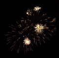 Yellow and white fireworks isolated on black background Royalty Free Stock Photo