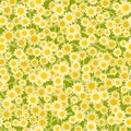 Yellow white flowers seamless background pattern