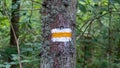 Yellow and white hiking trail signs symbols in spring on tree Royalty Free Stock Photo