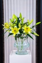 Yellow white lilies in glass vase, Keukenhof Park, Lisse Royalty Free Stock Photo