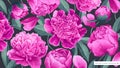 Large floral background with spring pink peonies with leaves and petals