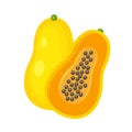 Yellow whole and half papaya vector illustration isolated on white background.
