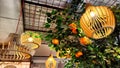 Yellow wicker chandeliers on the ceiling and orange tree with tangerines. Interior, room design, cute, warm background