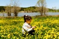 Girl picking flowers in yellow spring meadow Royalty Free Stock Photo