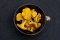 Yellow wild forest chanterelles in the clay pipkin dish with white handle on black background. View from top.