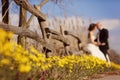 Yellow wildflowers with bride and groom Royalty Free Stock Photo