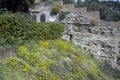 Yellow wildflowers and shrubs against the backdrop of ruins. The ancient stone walls of the Arab fortress of Gibralfaro. Landmark