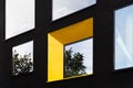 Yellow window on black facade with reflection of green tree on. Royalty Free Stock Photo