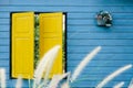 Yellow window retro art style and blue wooden wall textured background opposite color tone and roses bouquet in metal pot Royalty Free Stock Photo