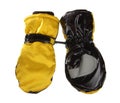 Yellow winter mittens Royalty Free Stock Photo