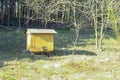 Yellow wooden bee behive for honey. Insect house.
