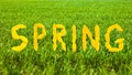 Yellow word spring on green grass background.