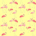 Yellow wrapping with cute pink lovely flamingo