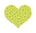 Yellow Yarrow Flowers in A Heart Shape