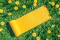 Yellow yoga mat laid out on green grass with blooming dandelions Royalty Free Stock Photo