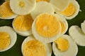 Yellow yolk and albumen texture