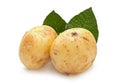 Yellow young potato isolated Royalty Free Stock Photo