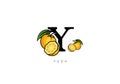 Yellow YUZU FRUIT Vector, Great combination of Yuzu Fruit symbol with letter Y
