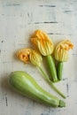 Yellow Zucchini Blossoms Royalty Free Stock Photo