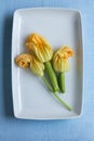 Yellow Zucchini Blossoms Royalty Free Stock Photo