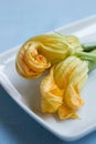 Yellow Zucchini Blossoms Royalty Free Stock Photo