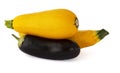 Yellow zucchini with dark purple ripe eggplant