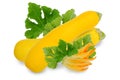 Yellow zucchini with flowers and leaves Royalty Free Stock Photo