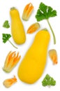 Yellow zucchini with flowers and leaves Royalty Free Stock Photo