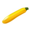 A yellow realistic zucchini on a white background.