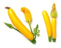 Yellow Zucchini with Leaf and Flower Isolated on White Background Royalty Free Stock Photo