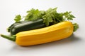 Yellow Zucchini on white background