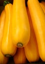 Yellow zucchinies Royalty Free Stock Photo
