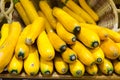 Yellow zucchinis in a basket