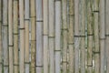 Yellowed dry bamboo texture background. Royalty Free Stock Photo