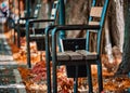 Yellowed grass with fallen leaves under a bench made of metal and wood. Royalty Free Stock Photo