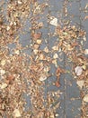 The yellowed leaves lie on the paving slabs. Abstract natural background. Royalty Free Stock Photo