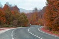 Yellowed leaves and winding roads in autumn