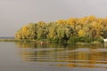 Yellowed Trees Reflected in Water