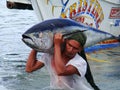 Yellowfin tuna artisanal fishery in Philippines#6 Royalty Free Stock Photo