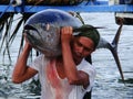 Yellowfin tuna artisanal fishery in Philippines#13 Royalty Free Stock Photo