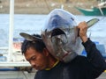 Yellowfin tuna artisanal fishery in Philippines#14 Royalty Free Stock Photo